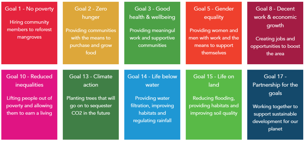 By planting trees in Madagascar, we’re helping support 10 of the 17 UN SDGs: