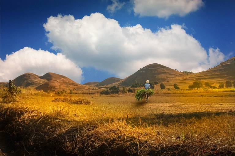 View of Madagascar hills